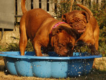 pool bath