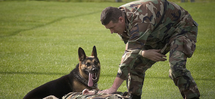 law enforcement dog training