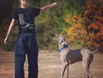 girl training her dog