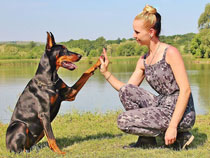 communication between woman and dog